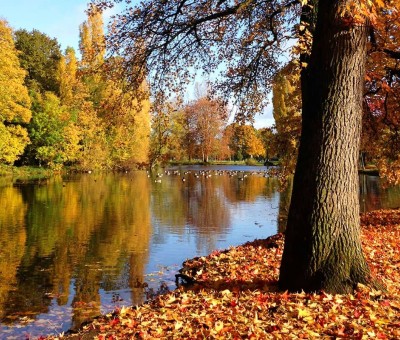 Bois de Boulogne